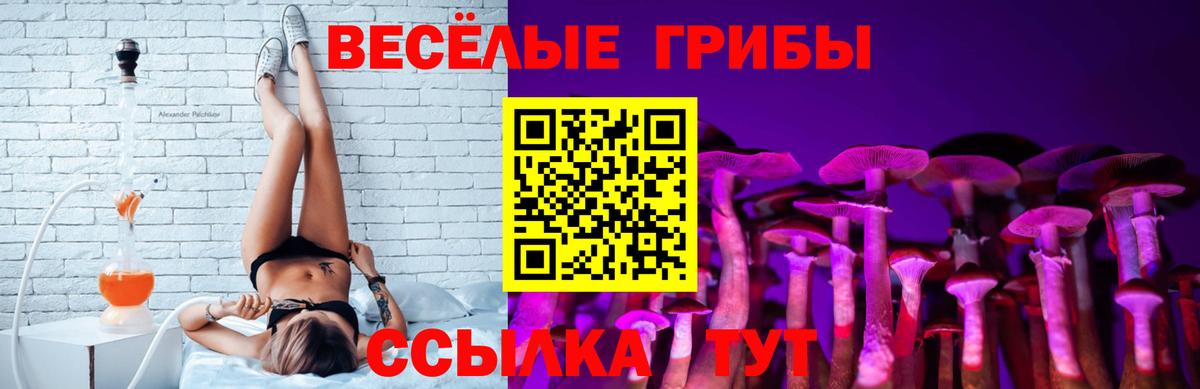 Псилоцибиновые грибы Magic Shrooms  Псилоцибиновые грибы Psilocybine cubensis  Усть-Лабинск  Вход с VPN 